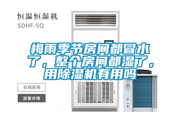 梅雨季節(jié)房間都冒水了，整個房間都濕了，用除濕機(jī)有用嗎