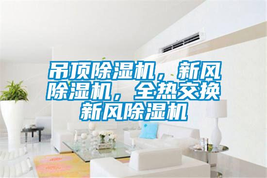 吊頂除濕機，新風除濕機，全熱交換新風除濕機