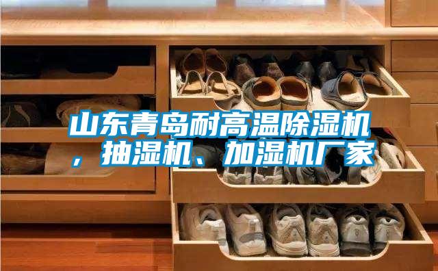 山東青島耐高溫除濕機(jī),抽濕機(jī)、加濕機(jī)廠家