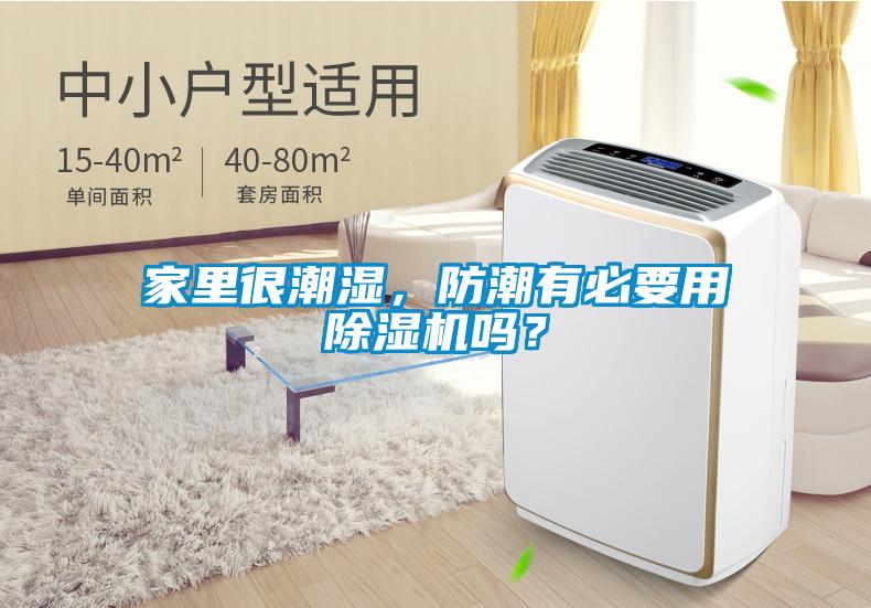 家里很潮濕,防潮有必要用除濕機嗎?