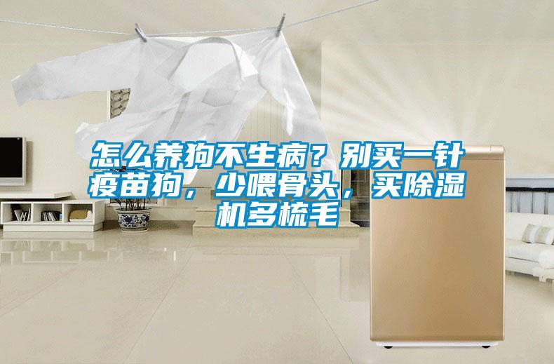 怎么養狗不生?。縿e買一針疫苗狗，少喂骨頭，買除濕機多梳毛