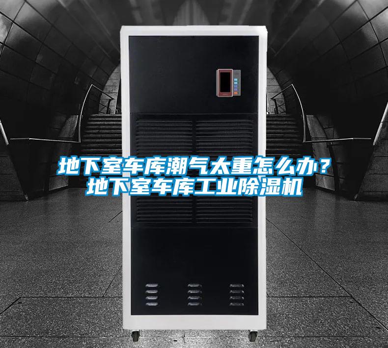 地下室車庫潮氣太重怎么辦?地下室車庫工業除濕機