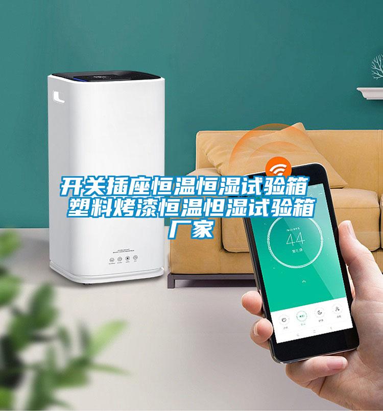 開(kāi)關(guān)插座恒溫恒濕試驗(yàn)箱 塑料烤漆恒溫怛濕試驗(yàn)箱廠家
