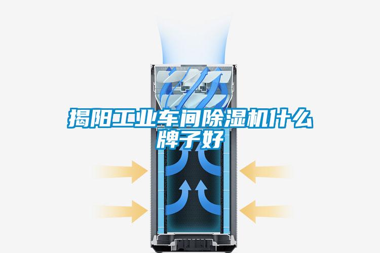 揭陽工業(yè)車間除濕機(jī)什么牌子好
