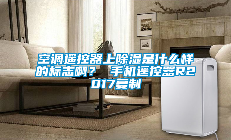 空調(diào)遙控器上除濕是什么樣的標志啊？ 手機遙控器R2017復(fù)制