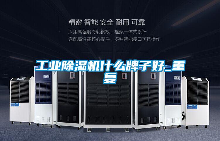 工業除濕機什么牌子好_重復
