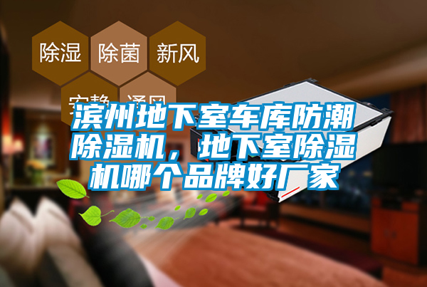 濱州地下室車庫防潮除濕機，地下室除濕機哪個品牌好廠家