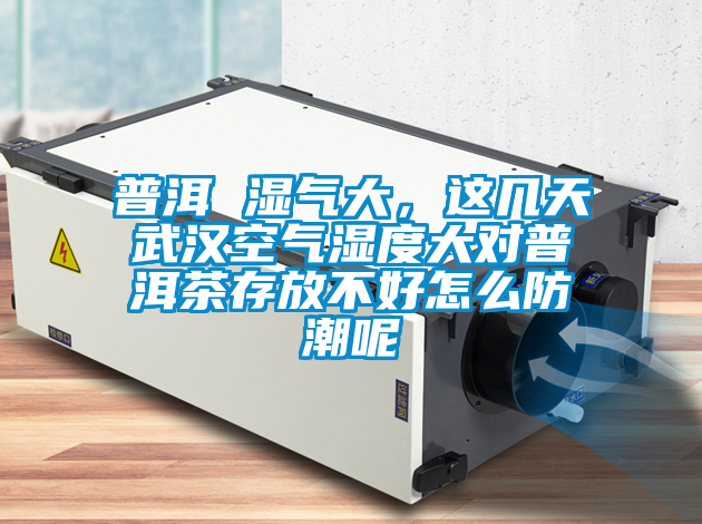 普洱 濕氣大,這幾天武漢空氣濕度大對普洱茶存放不好怎么防潮呢