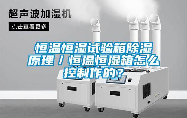 恒溫恒濕試驗箱除濕原理／恒溫恒濕箱怎么控制作的？
