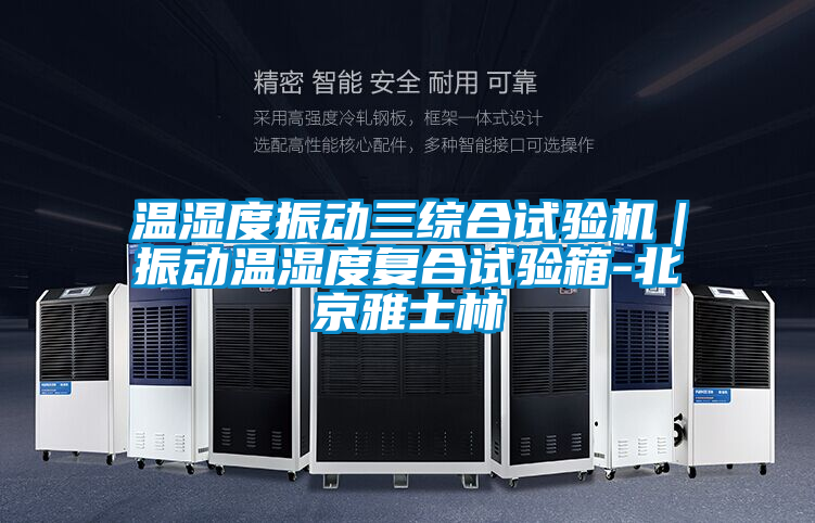 溫濕度振動(dòng)三綜合試驗(yàn)機(jī)｜振動(dòng)溫濕度復(fù)合試驗(yàn)箱-北京雅士林