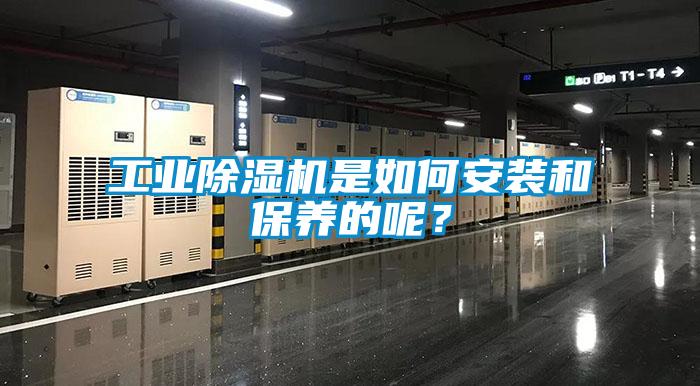工業(yè)除濕機是如何安裝和保養(yǎng)的呢？