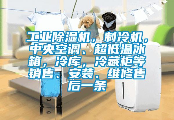 工業除濕機,制冷機,中央空調、超低溫冰箱,冷庫,冷藏柜等銷售、安裝、維修售后一條