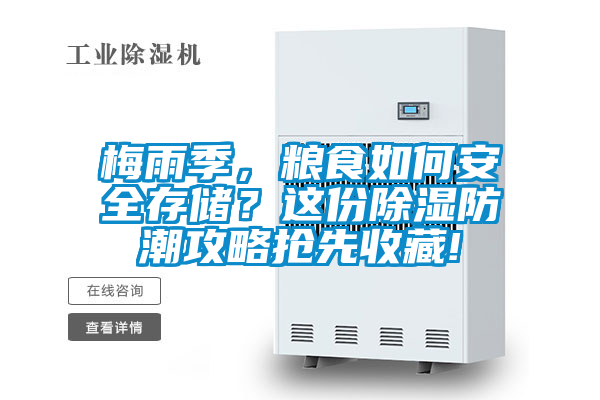梅雨季，糧食如何安全存儲(chǔ)？這份除濕防潮攻略搶先收藏!