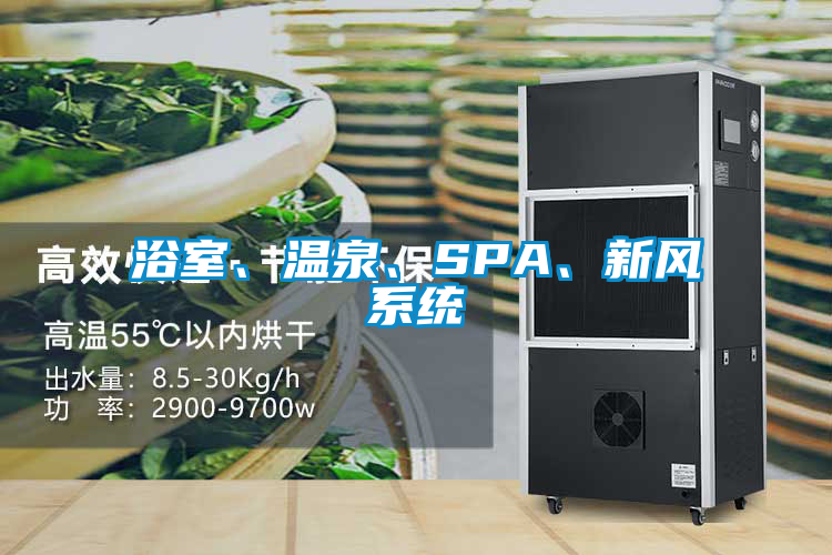 浴室、溫泉、SPA、新風系統