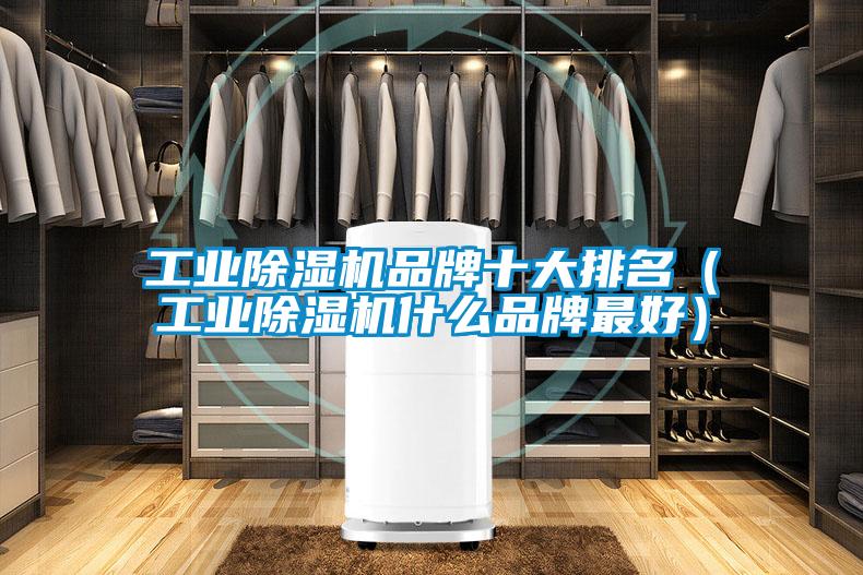 工業除濕機品牌十大排名(工業除濕機什么品牌最好)