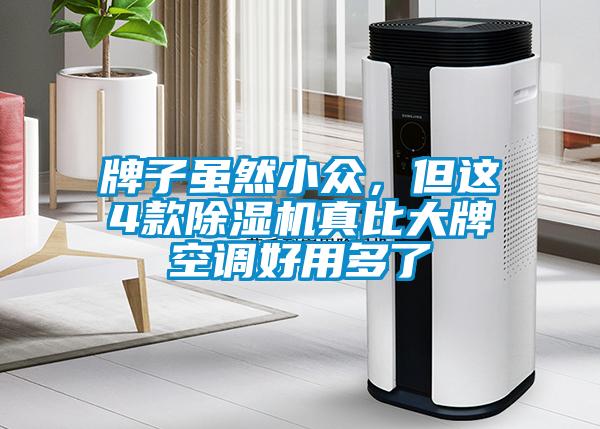 牌子雖然小眾，但這4款除濕機真比大牌空調好用多了