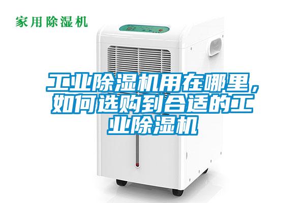 工業除濕機用在哪里，如何選購到合適的工業除濕機