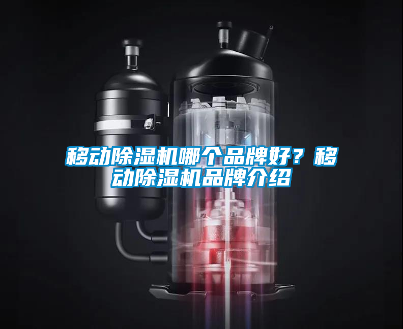 移動(dòng)除濕機(jī)哪個(gè)品牌好？移動(dòng)除濕機(jī)品牌介紹