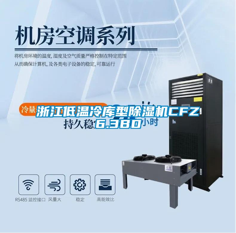 浙江低溫冷庫(kù)型除濕機(jī)CFZ6.3BD