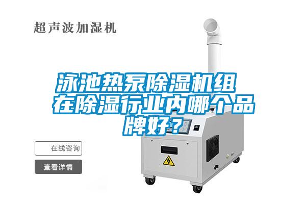 泳池?zé)岜贸凉駲C(jī)組 在除濕行業(yè)內(nèi)哪個品牌好？