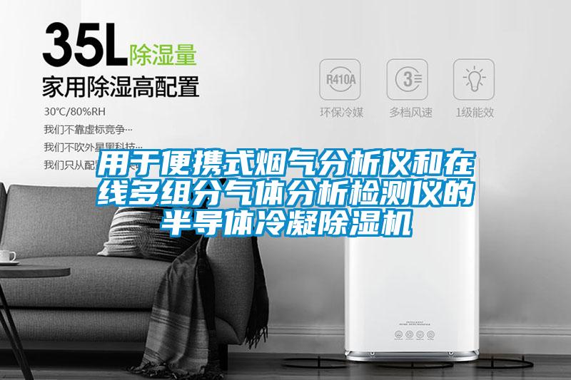 用于便攜式煙氣分析儀和在線多組分氣體分析檢測(cè)儀的半導(dǎo)體冷凝除濕機(jī)