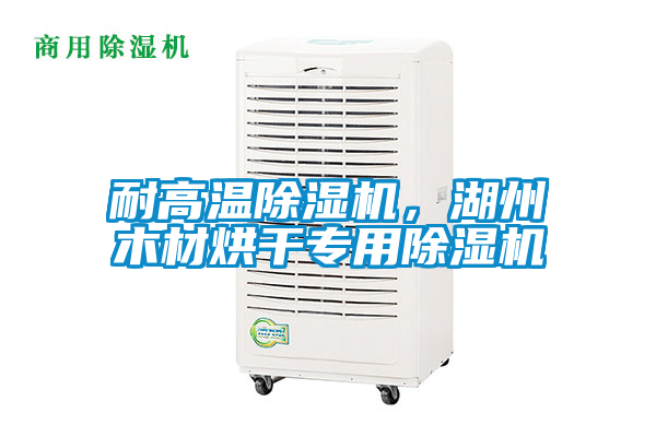 耐高溫除濕機，湖州木材烘干專用除濕機