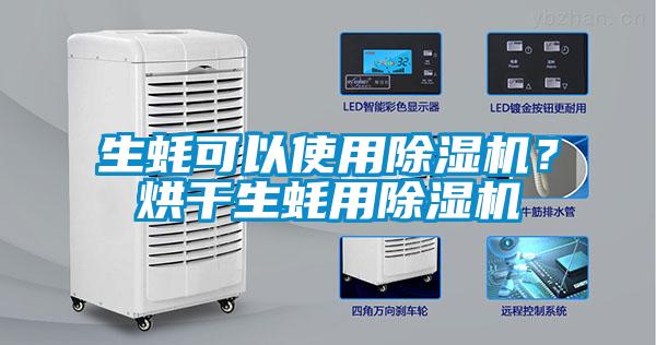 生蠔可以使用除濕機？烘干生蠔用除濕機