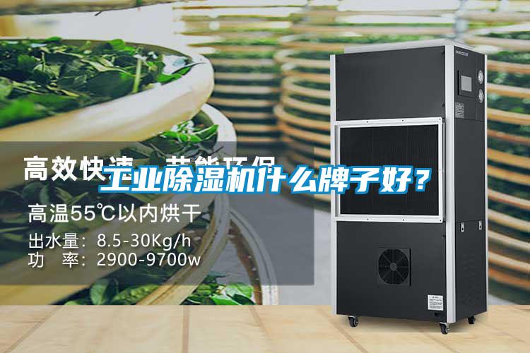 工業除濕機什么牌子好？