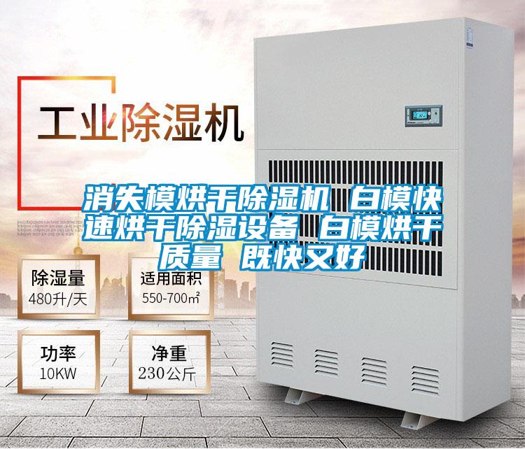 消失模烘干除濕機 白?？焖俸娓沙凉裨O備 白模烘干質量 既快又好