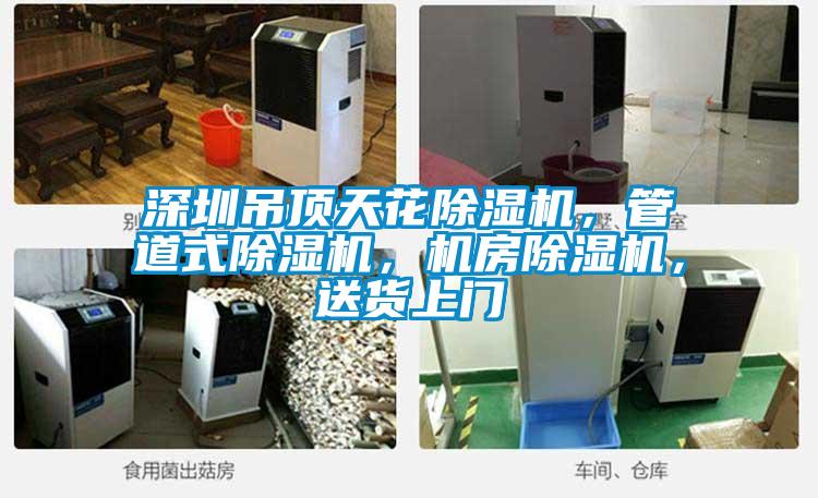 深圳吊頂天花除濕機(jī)，管道式除濕機(jī)，機(jī)房除濕機(jī)，送貨上門(mén)