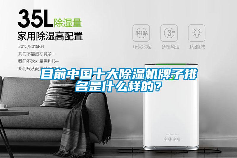 目前中國十大除濕機(jī)牌子排名是什么樣的？