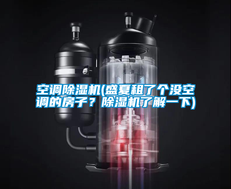 空調除濕機(盛夏租了個沒空調的房子？除濕機了解一下)