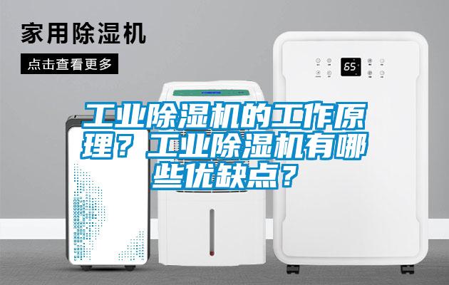 工業除濕機的工作原理？工業除濕機有哪些優缺點？