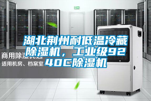 湖北荊州耐低溫冷藏除濕機，工業級9240C除濕機