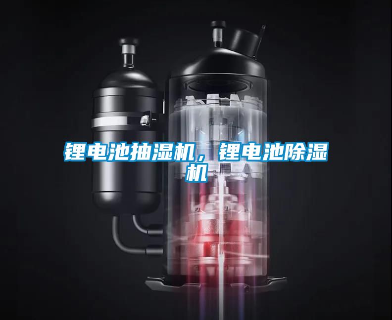 鋰電池抽濕機(jī)，鋰電池除濕機(jī)