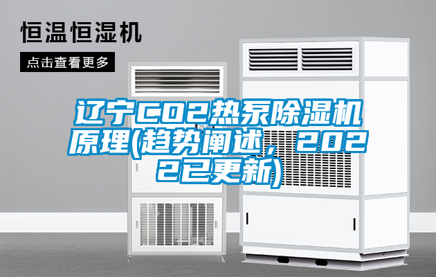 遼寧CO2熱泵除濕機(jī)原理(趨勢闡述，2022已更新)