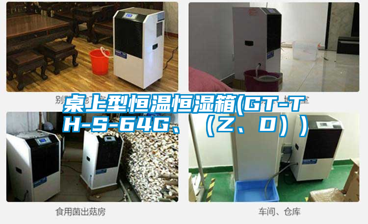 桌上型恒溫恒濕箱(GT-TH-S-64G、（Z、D）)