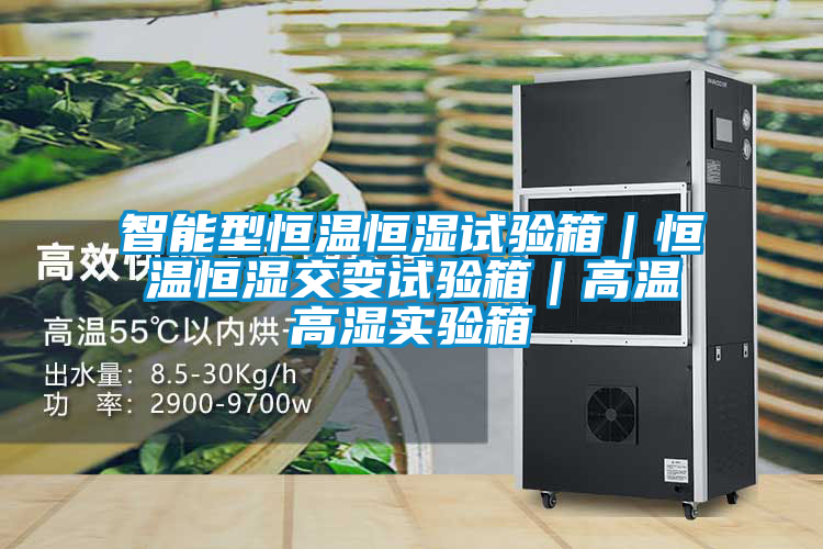 智能型恒溫恒濕試驗(yàn)箱｜恒溫恒濕交變試驗(yàn)箱｜高溫高濕實(shí)驗(yàn)箱