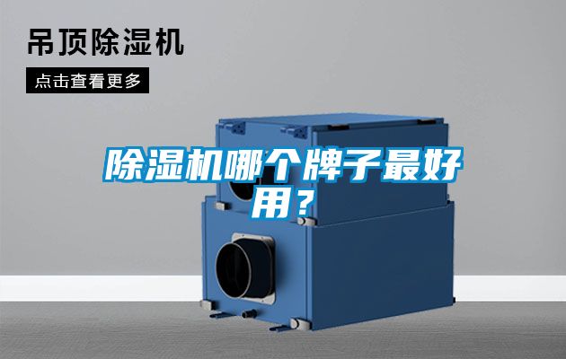 除濕機哪個牌子最好用?