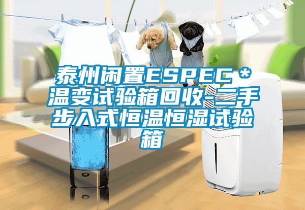 泰州閑置ESPEC*溫變試驗(yàn)箱回收-二手步入式恒溫恒濕試驗(yàn)箱