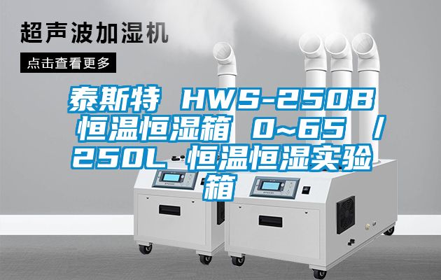 泰斯特 HWS-250B 恒溫恒濕箱 0~65℃/250L 恒溫恒濕實驗箱