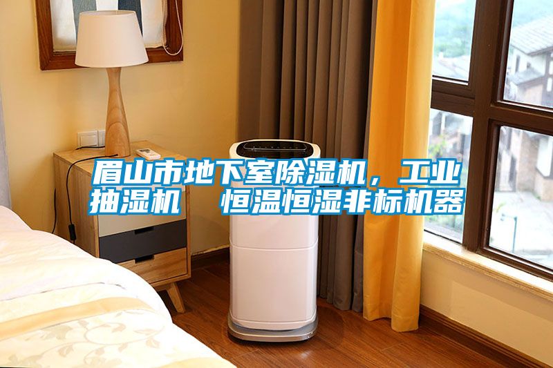眉山市地下室除濕機(jī)，工業(yè)抽濕機(jī)  恒溫恒濕非標(biāo)機(jī)器