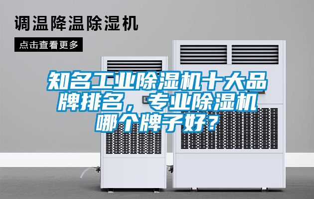 知名工業除濕機十大品牌排名,專業除濕機哪個牌子好?
