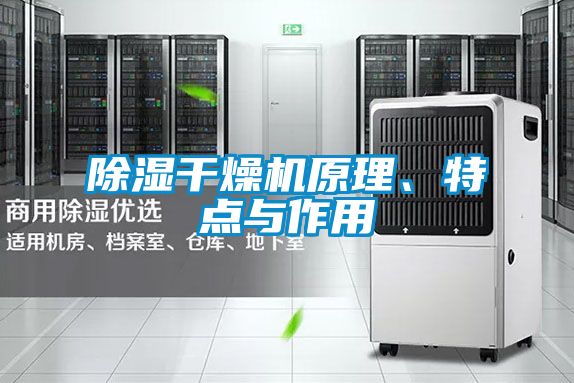 除濕干燥機(jī)原理、特點(diǎn)與作用