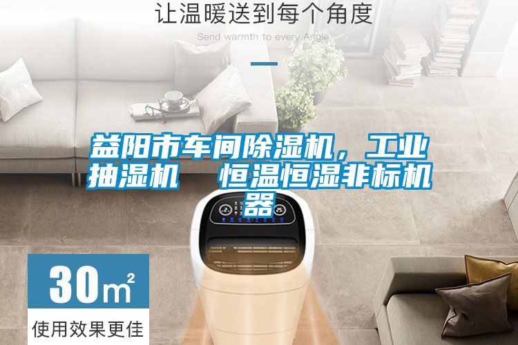 益陽市車間除濕機，工業(yè)抽濕機  恒溫恒濕非標機器