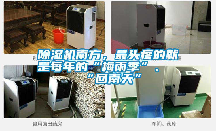 除濕機南方,最頭疼的就是每年的“梅雨季”、“回南天”