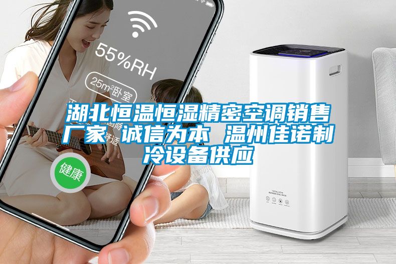湖北恒溫恒濕精密空調(diào)銷售廠家 誠信為本 溫州佳諾制冷設備供應