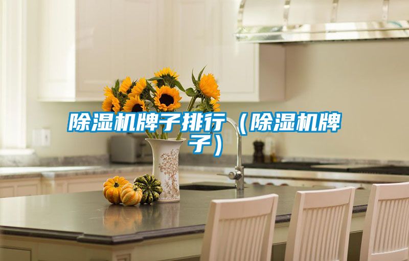 除濕機牌子排行(除濕機牌子)
