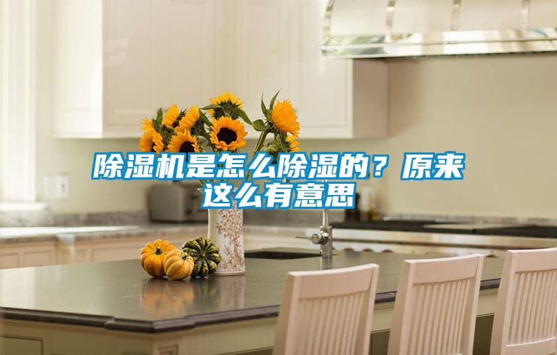 除濕機(jī)是怎么除濕的?原來(lái)這么有意思