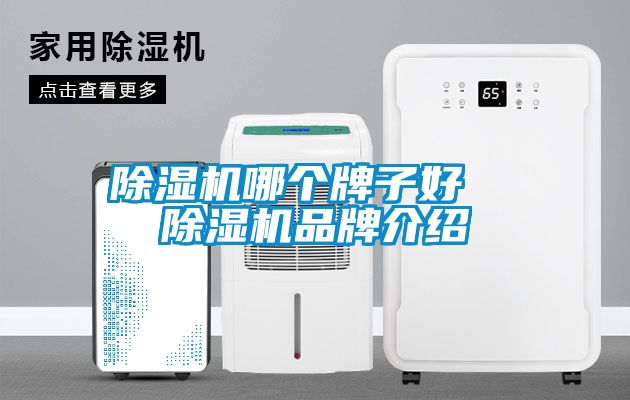 除濕機(jī)哪個牌子好  除濕機(jī)品牌介紹